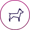 About your dog