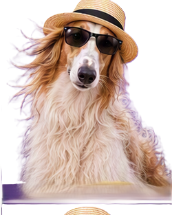 Borzoi