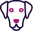 About Your Dog